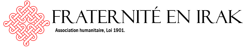 Banniere-logo-FEI